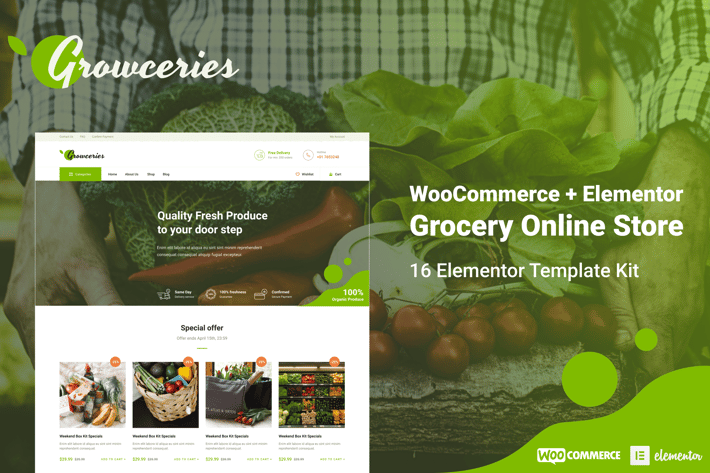 69_growceries_food_grocery_store_elementor_template_k